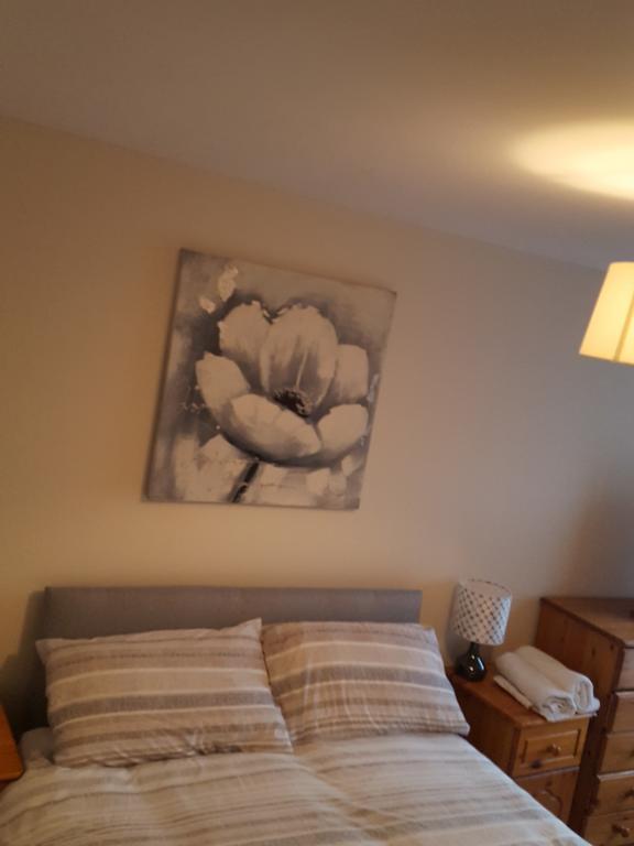 Castleton Gardens Apartments ベルファスト エクステリア 写真